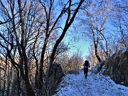 Alla Madonnina del Costone (1195 m) da Zogno (315 m) su sentieri sopra casa (26dic閳??20)  - FOTOGALLERY
